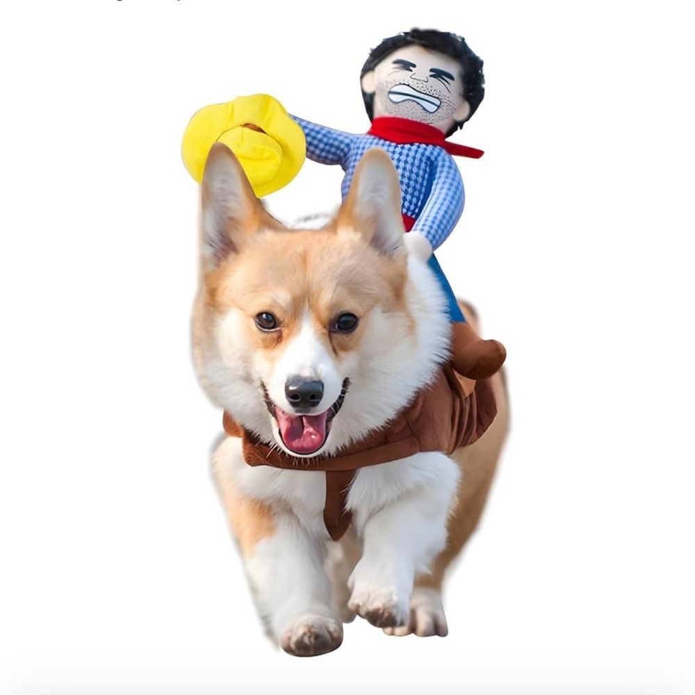 Dog Halloween costume